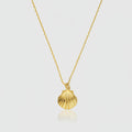 Halskette „Golden Shell“ – 585er Gelbgold (14Kt)