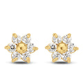 Ohrstecker „Golden Petal“ – 14Kt Gold