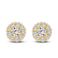 Ohrstecker „Petite Halo“ – 14Kt Gold